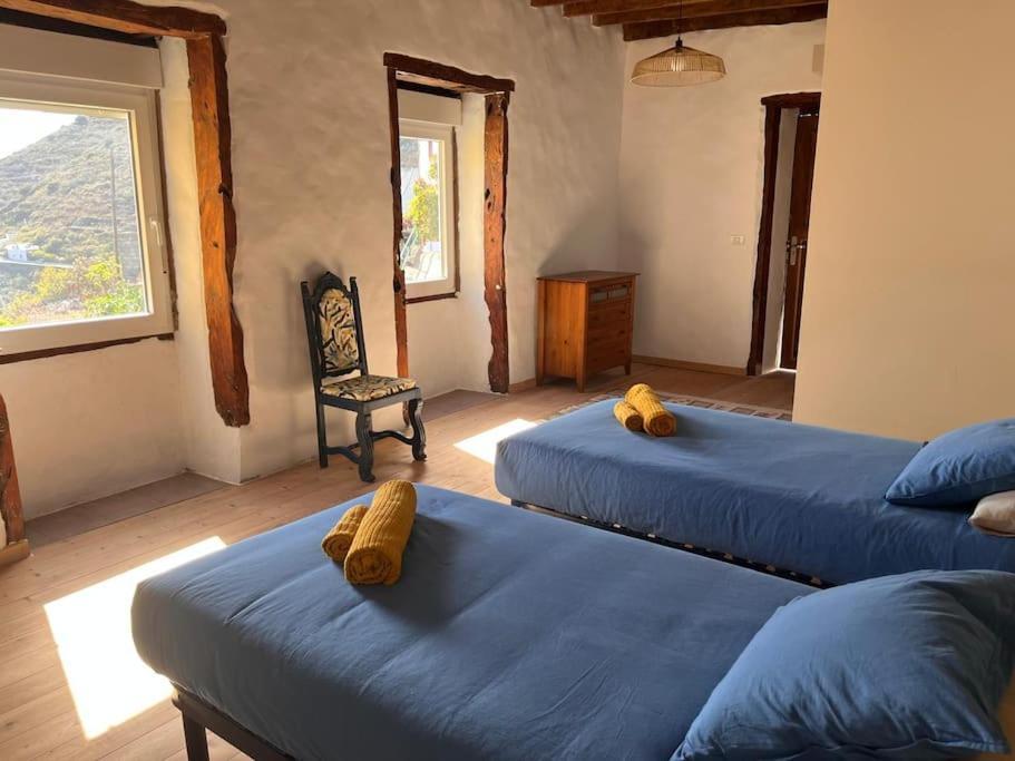 La Casa Del Aguacate Villa Sabinosa Dış mekan fotoğraf